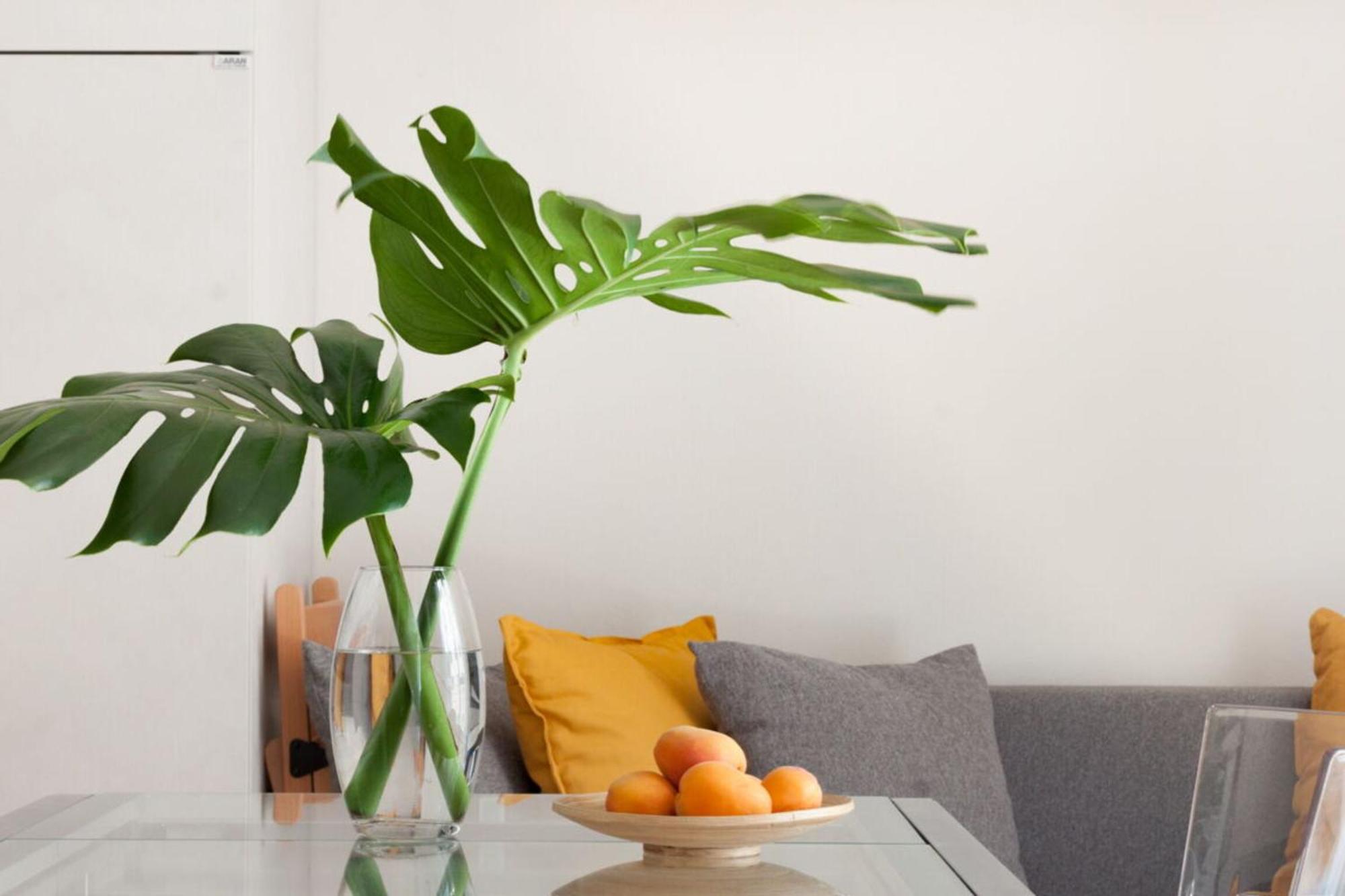 Italian Experience-Lungarno Suite Apartment Firenze Eksteriør billede